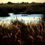Botswana, Linyanti 1